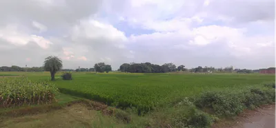 Puranpur, Uttar Pradesh 262122, India preview 3