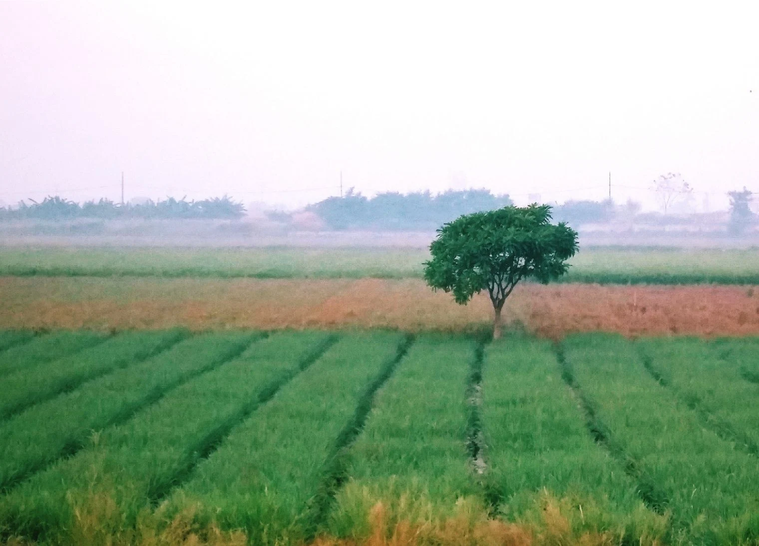 Banda, Uttar Pradesh 242042, India