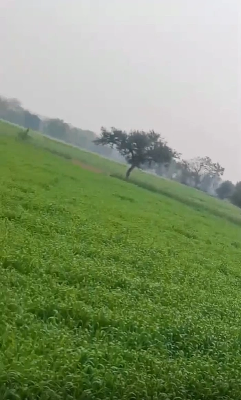Katiya, Chhatarpur, Madhya Pradesh, India