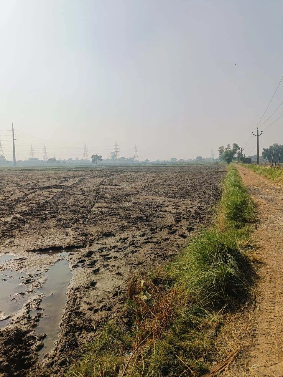 Basai, Mathura, Uttar Pradesh 281501, India - Photo 3