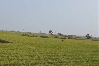 4H4M+FP Kahlpa, Sonipat, Haryana, India preview 2