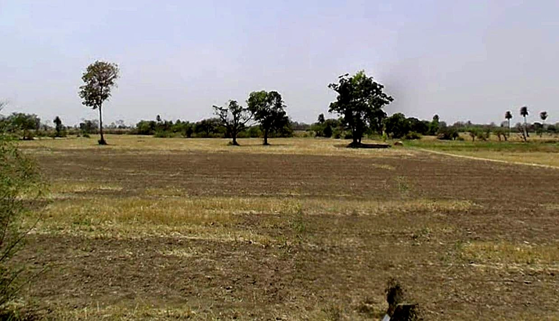 Noni Khedi Koji, Madhya Pradesh 466651, India