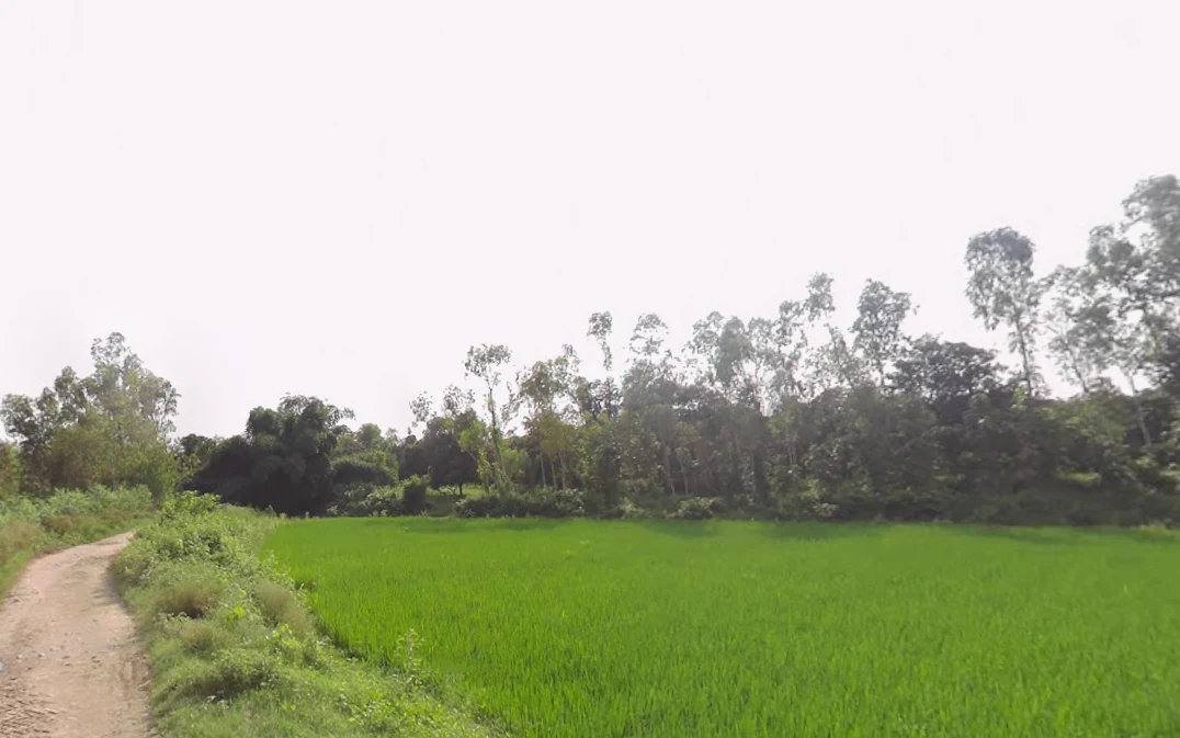 Raipur, Uttar Pradesh 247121, India