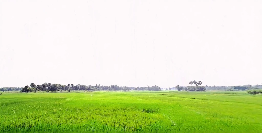 Jhirwa, Bihar, India