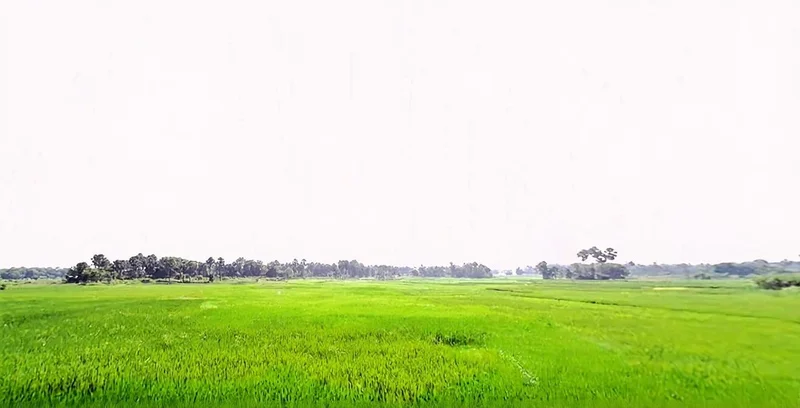 Jhirwa, Bihar, India preview 3