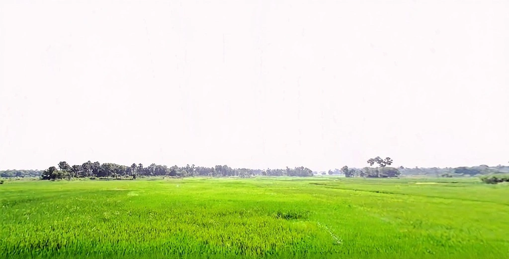 Jhirwa, Bihar, India