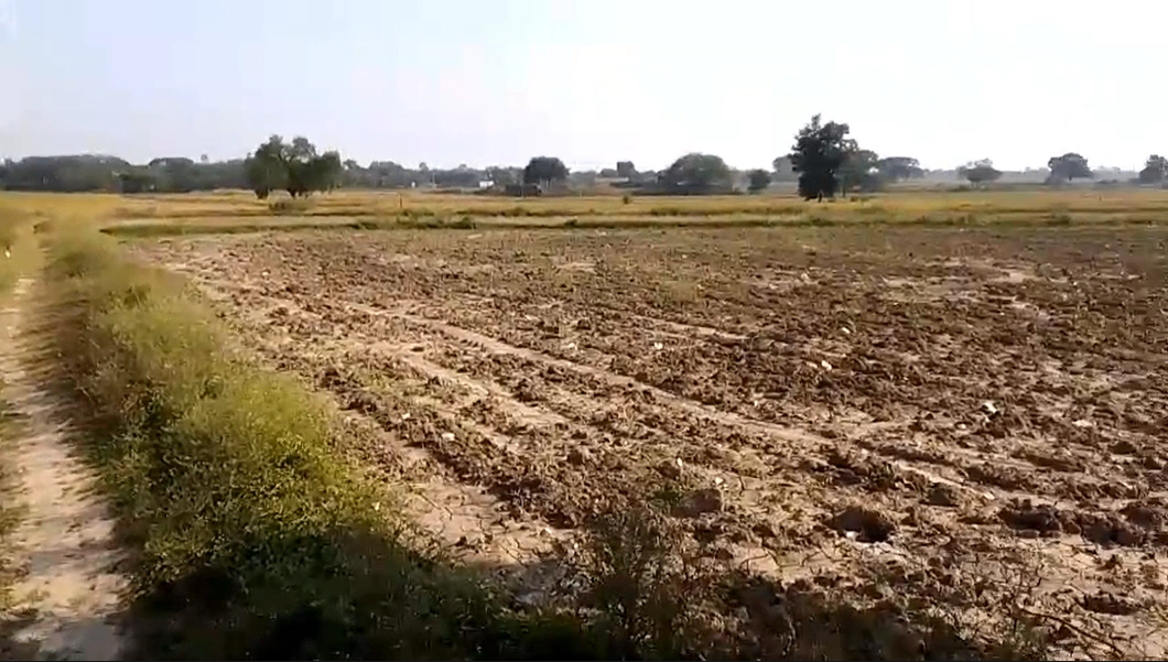 Patel Nagar, Uttar Pradesh 212106, India
