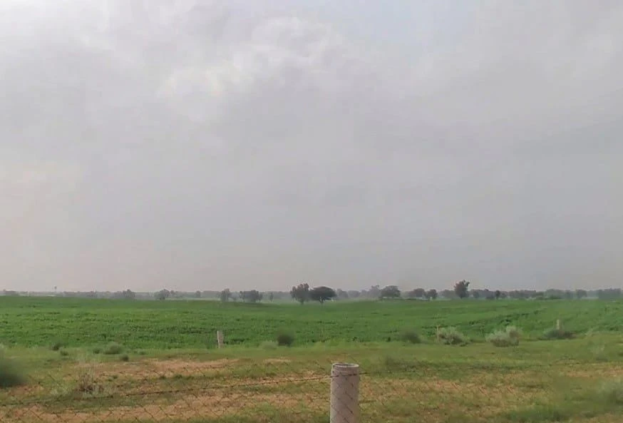 WVM8+576, Arjansar, Rajasthan 334604, India