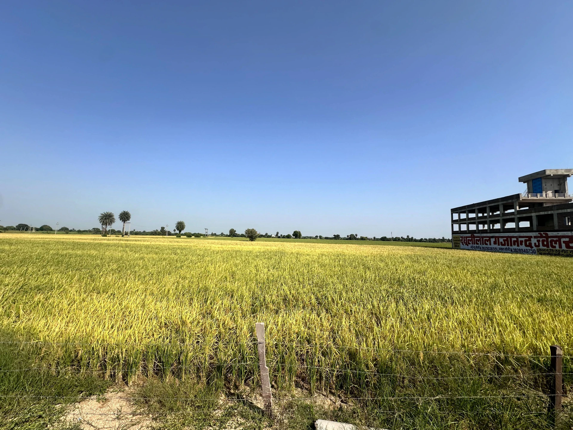 Kota, Rajasthan 324001, India