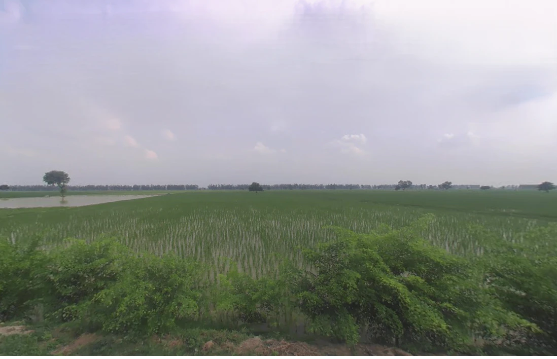 Muana, Haryana 126112, India