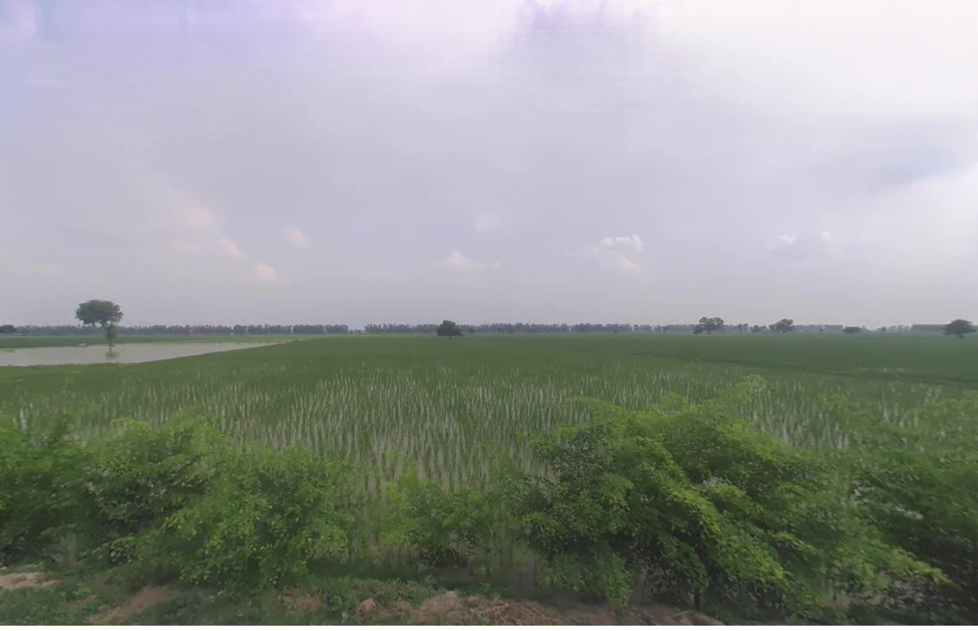 Muana, Haryana 126112, India preview 3