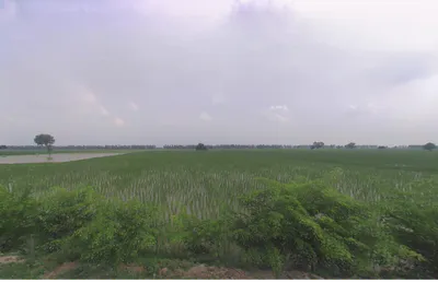 Muana, Haryana 126112, India preview 3