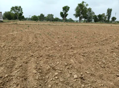 Sewah, Panipat, Haryana, India preview 3