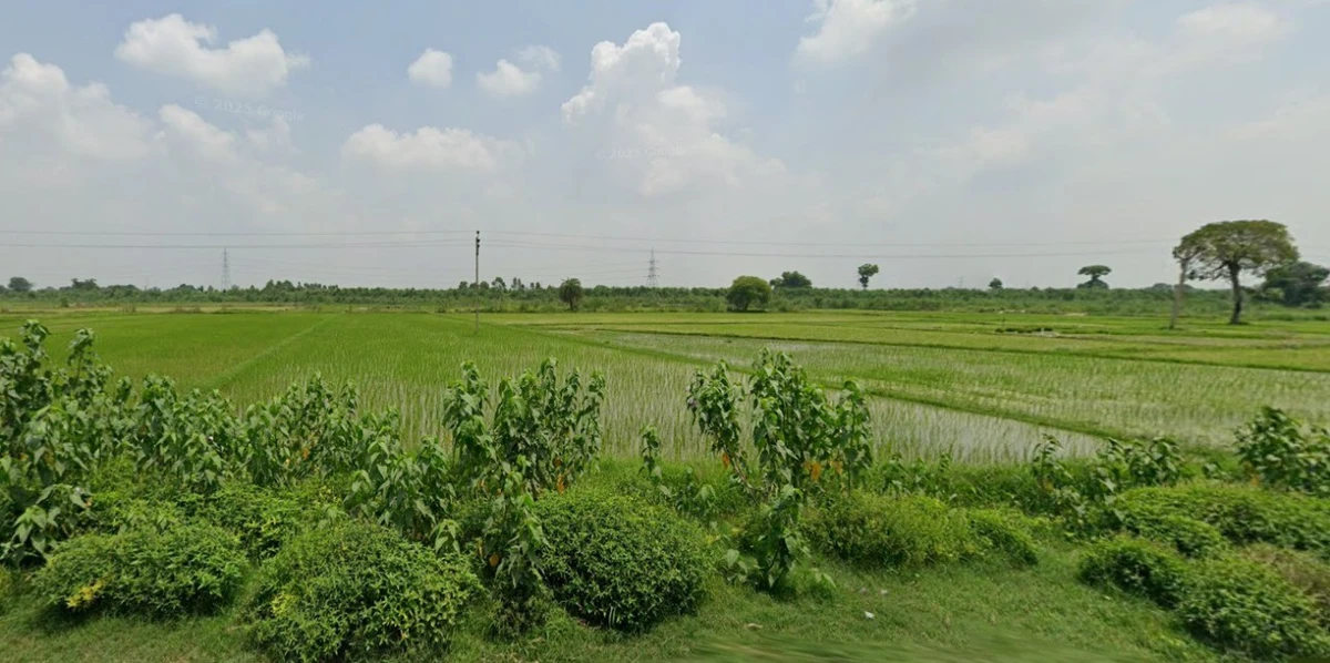 Roorkee, Uttarakhand, India