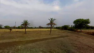 C98X+93P, Richhoda, Madhya Pradesh 465220, India preview 2