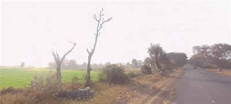 9JHW+7V Dholakuva, Gujarat, India
