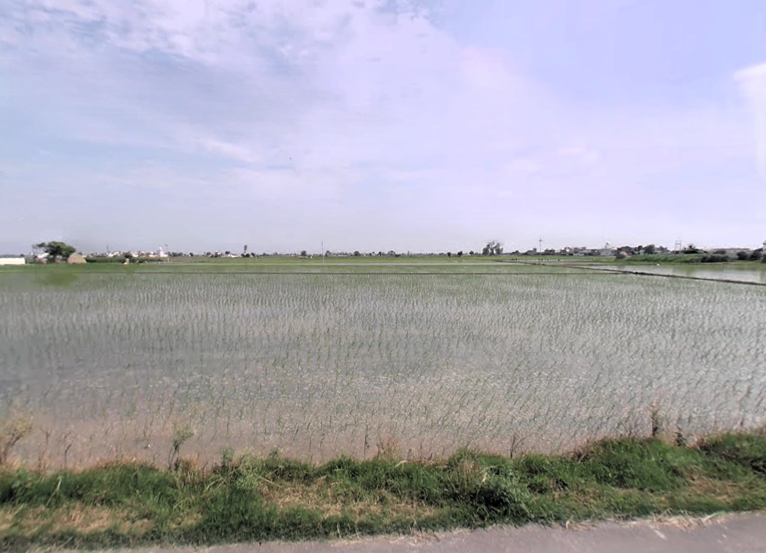 Lukhi, Haryana 136119, India