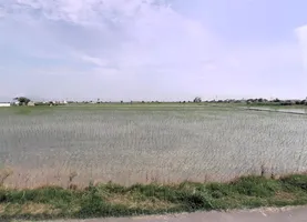 Lukhi, Haryana 136119, India preview 3