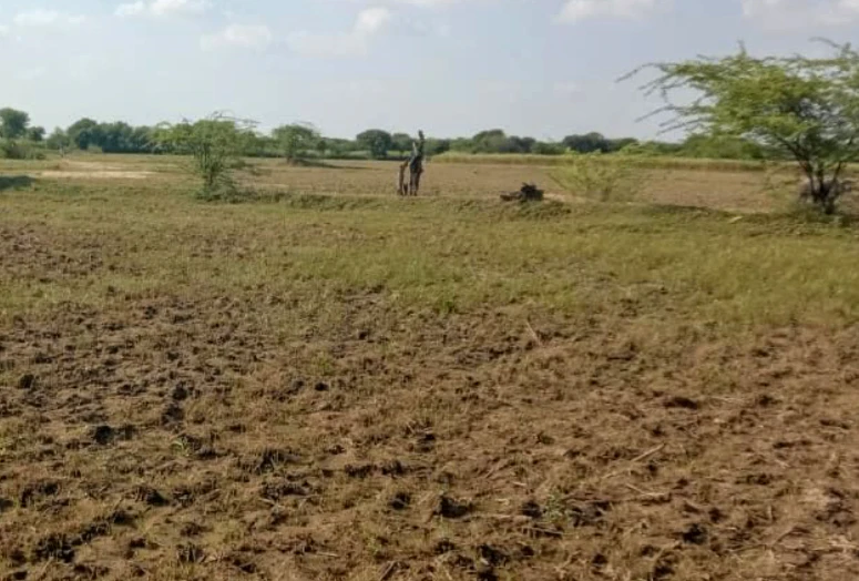 X4Q2+MJ2, Chowki, Madhya Pradesh 465677, India