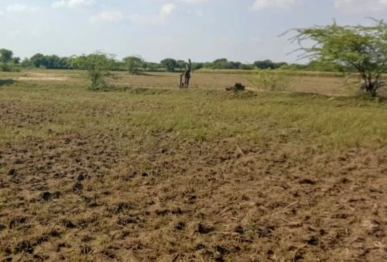 X4Q2+MJ2, Chowki, Madhya Pradesh 465677, India
