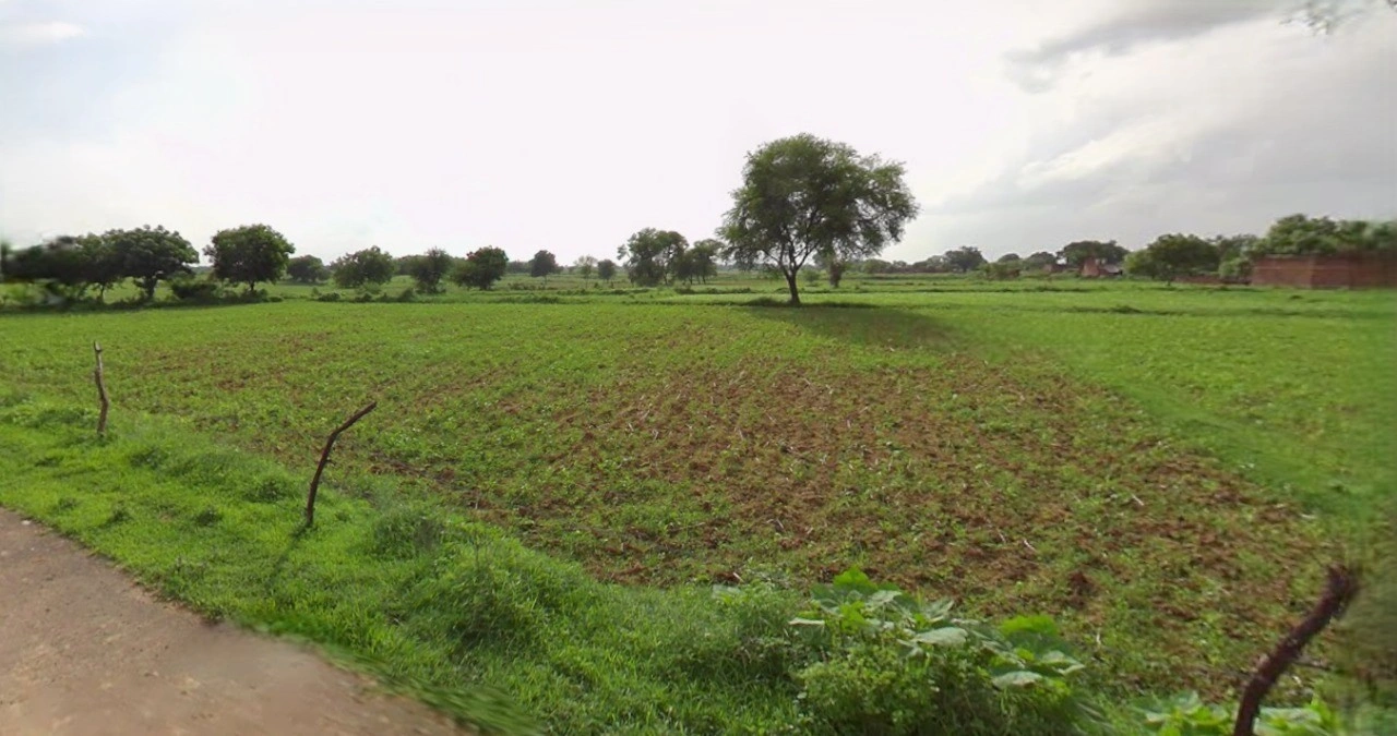 Barnagar, Madhya Pradesh 456771, India