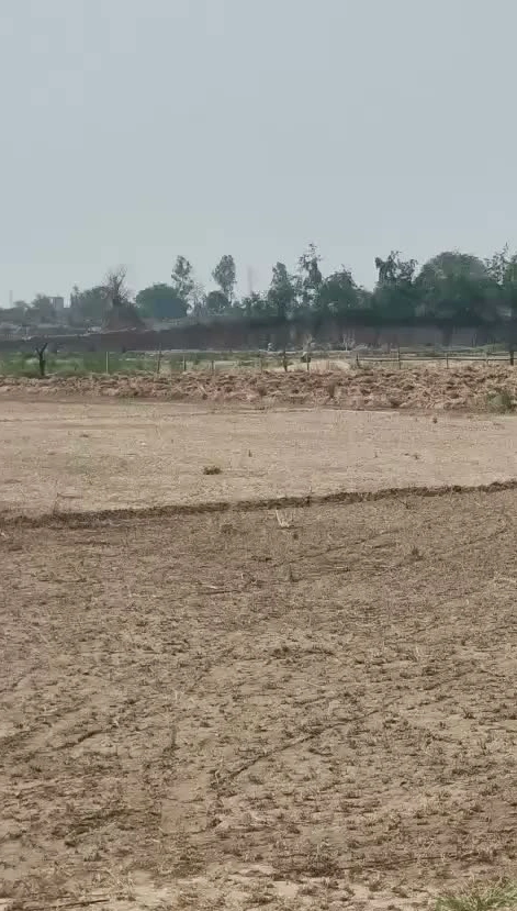 6H3G+9V Karauli Bangar, Uttar Pradesh, India