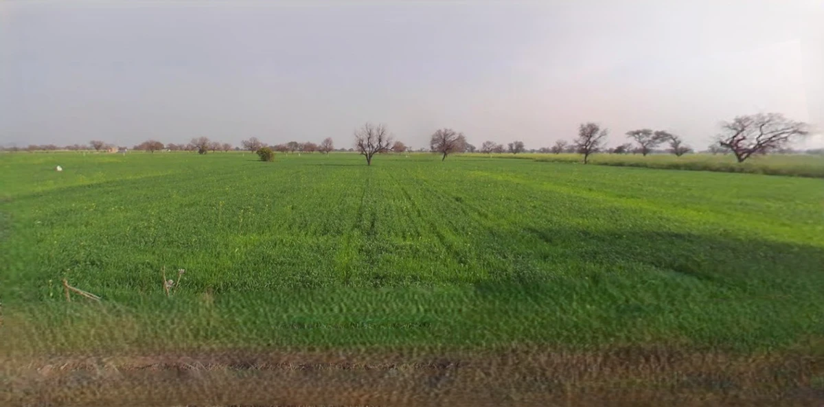 Mandsaur, Madhya Pradesh, India