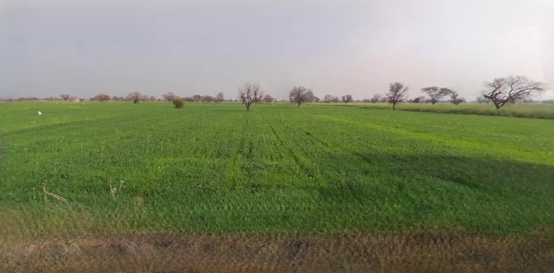 Mandsaur, Madhya Pradesh, India preview 3