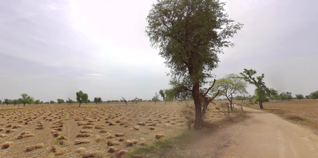 Rayla, Rajasthan 313603, India