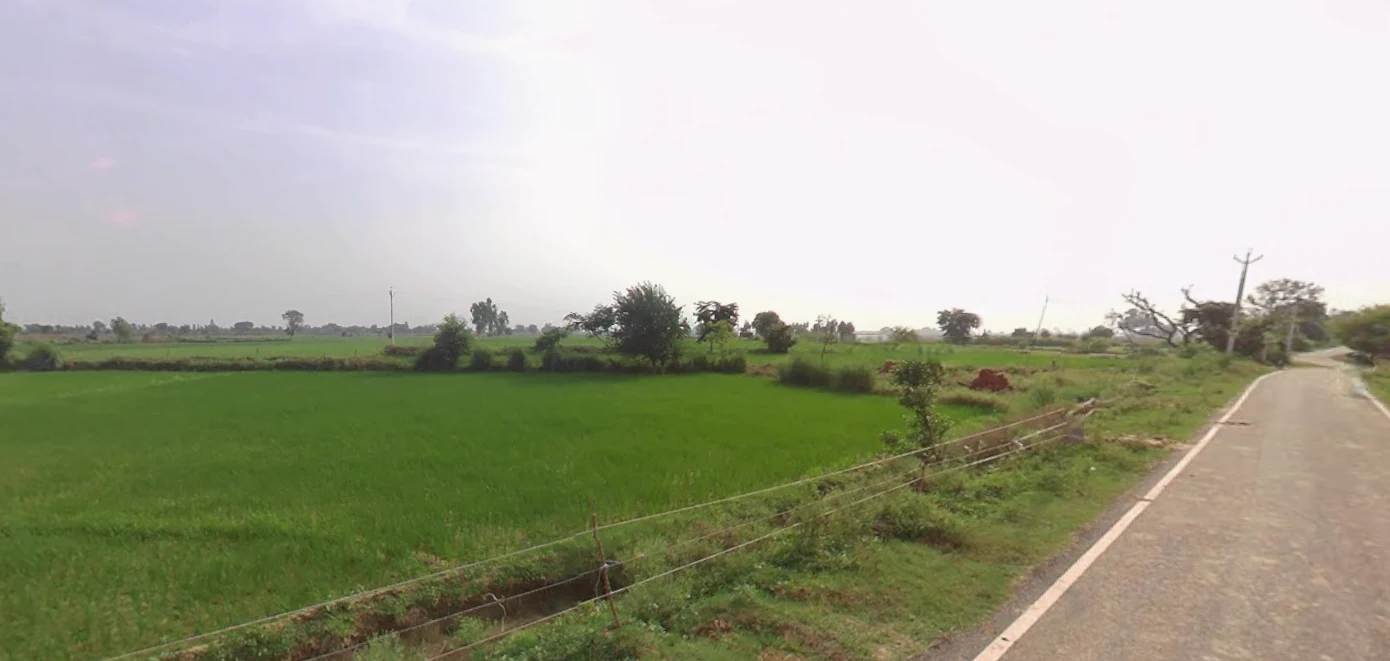 Suar, Uttar Pradesh 244924, India