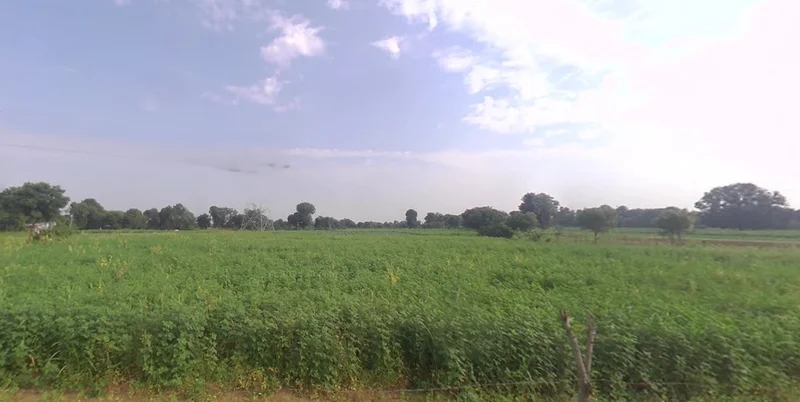 35RC+MP Sachana, Gujarat, India preview 3