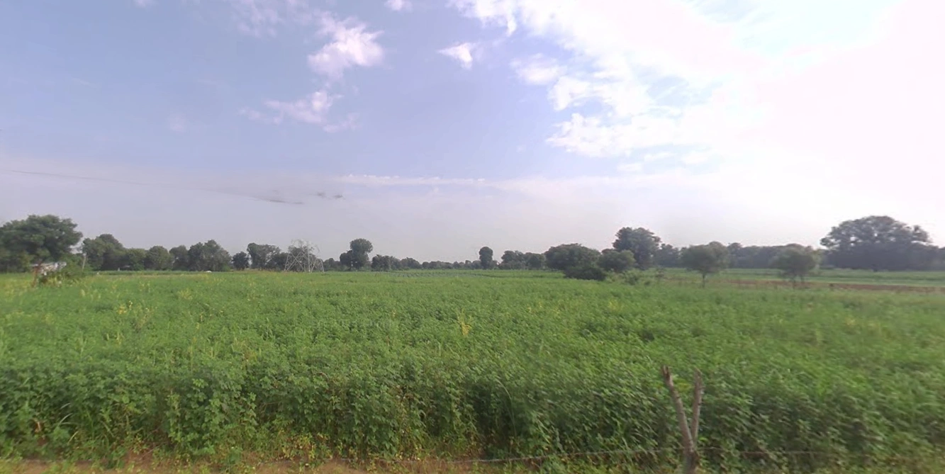 35RC+MP Sachana, Gujarat, India