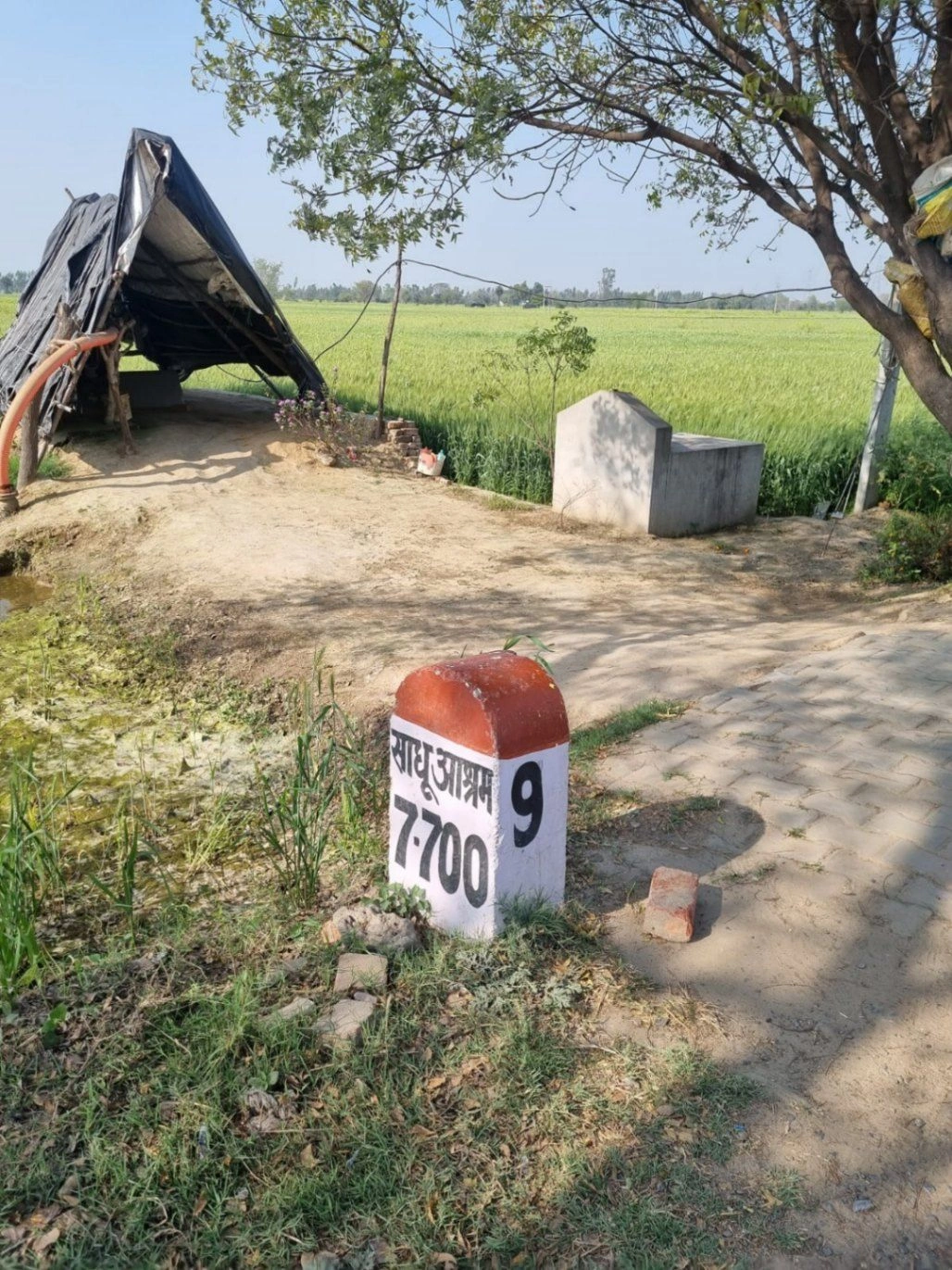 Sikandarpur Machhua, Uttar Pradesh 202125, India preview 3