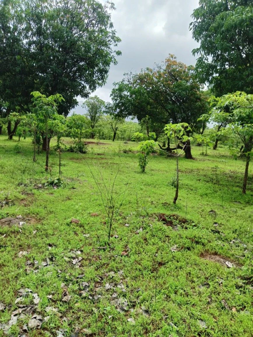 83P7+QCR, Ratlam, Sura Khedi, Madhya Pradesh 457001, India