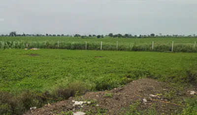 Khargone, Madhya Pradesh 451001, India preview 3