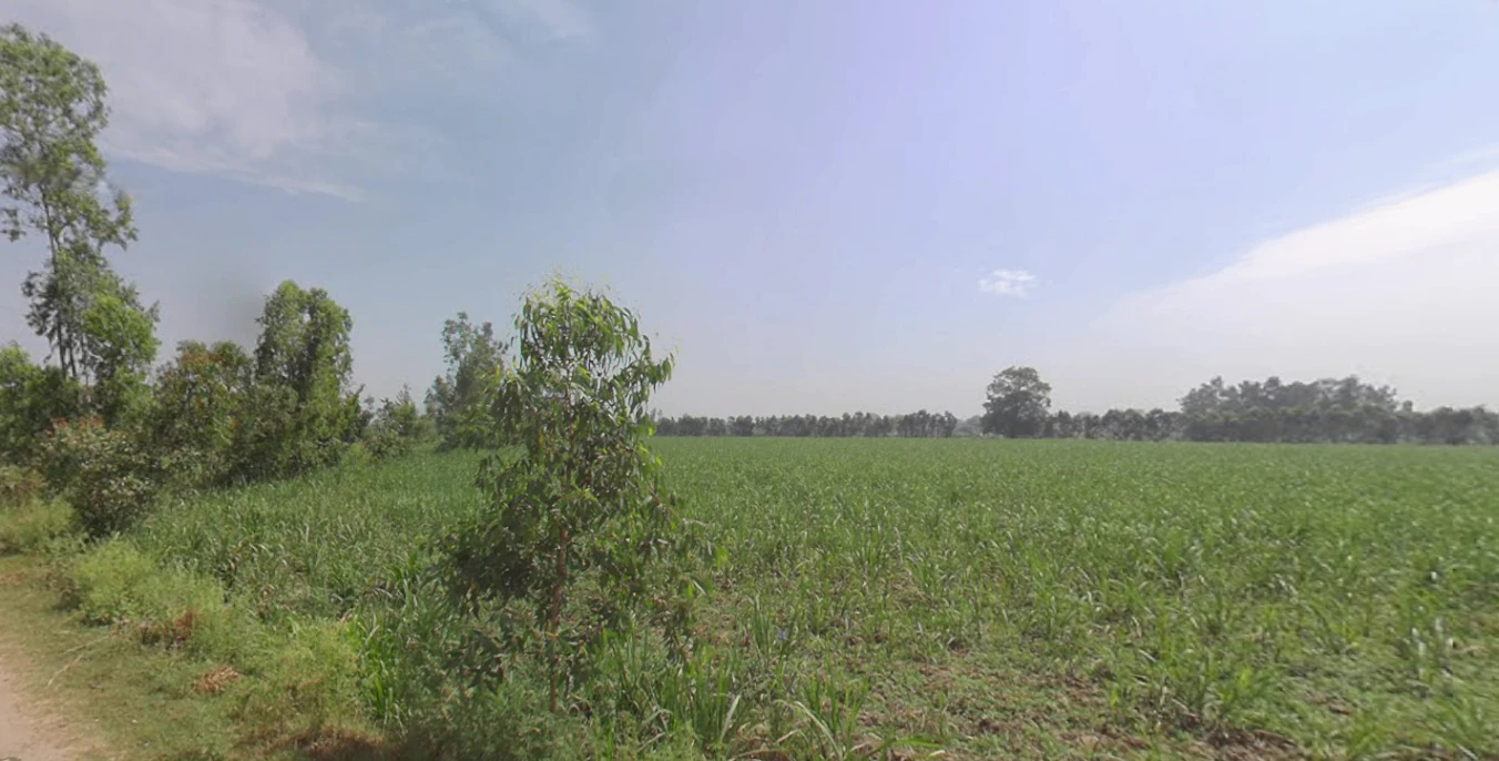 Rampur, Uttar Pradesh, India