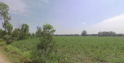 Rampur, Uttar Pradesh, India preview 2