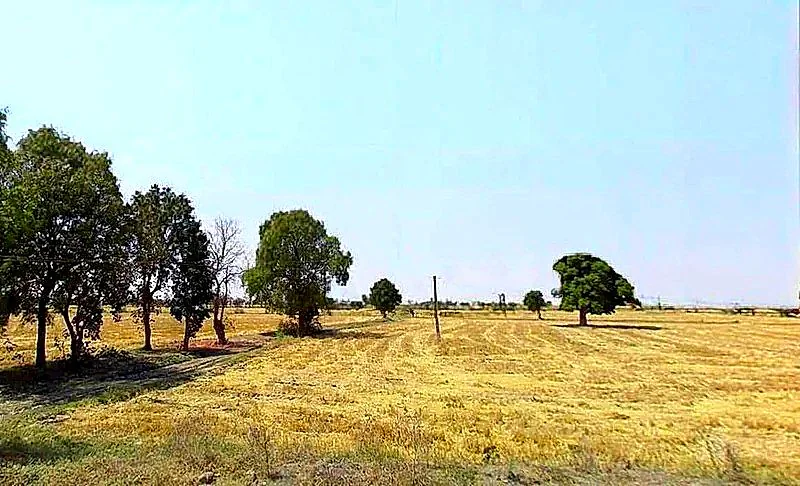 Lakhakhedi Naharpur, Madhya Pradesh 456443, India preview 2