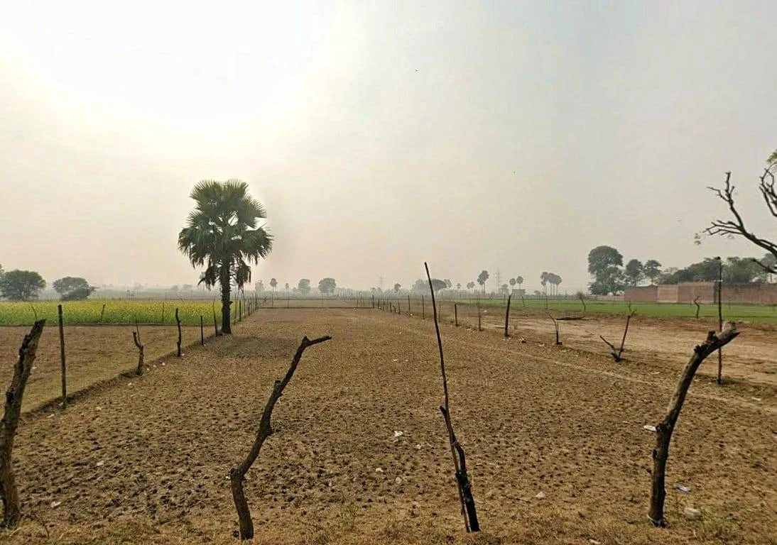 03, Rewa Rd, Yamunotri Nagar, Prayagraj, Marauka Uparhar, Uttar Pradesh 211008, India