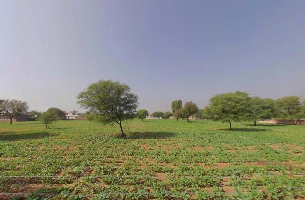 Shahpura, Rajasthan 303103, India