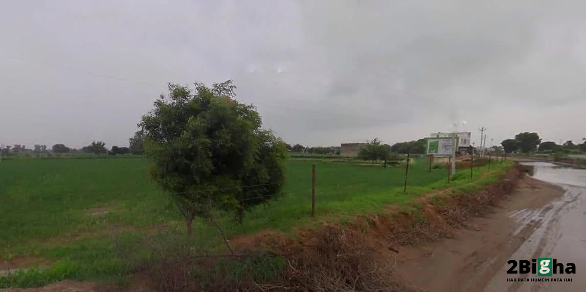 63MH+R82, Dangiyawas Bypass, chamanpura, Basni, veda, Jodhpur, Rajasthan 342005, India