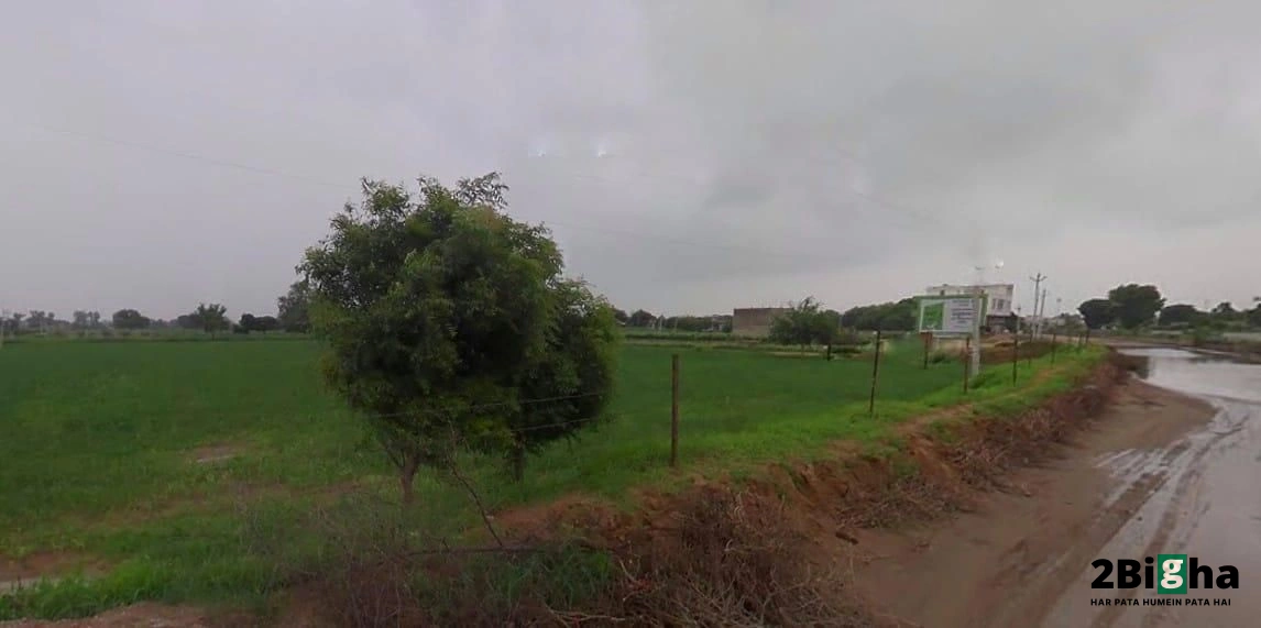 63MH+R82, Dangiyawas Bypass, chamanpura, Basni, veda, Jodhpur, Rajasthan 342005, India