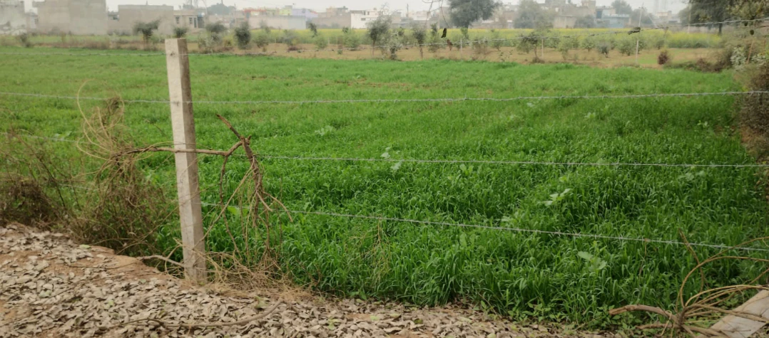 Nurpur Bedi, Punjab 140117, India