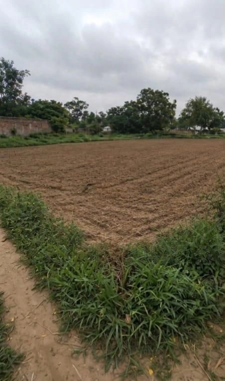 Barhana, Uttar Pradesh, India