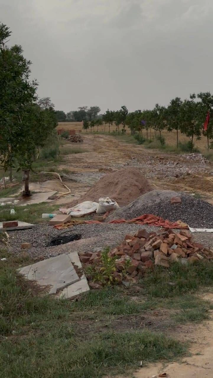 Kokilavan, Vill Post, Bathain Kalan, Kokilavana, Uttar Pradesh 281403, India