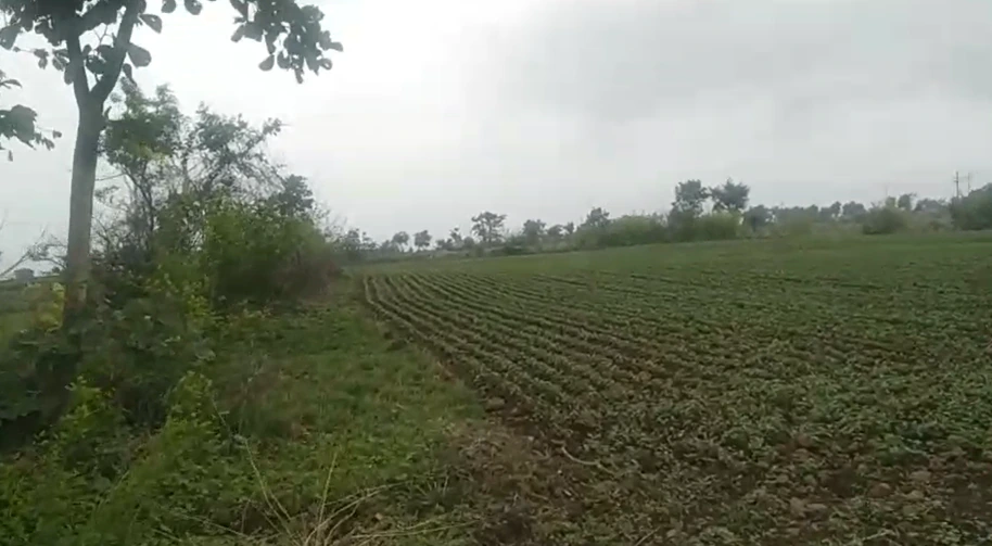 Ratibad, Bhopal, Madhya Pradesh 462044, India
