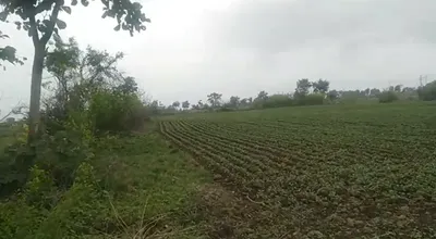 Ratibad, Bhopal, Madhya Pradesh 462044, India preview 3