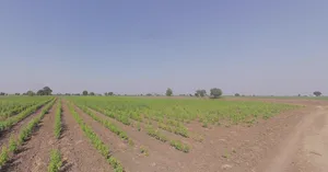 Bhalgamda, Gujarat 363421, India preview 3