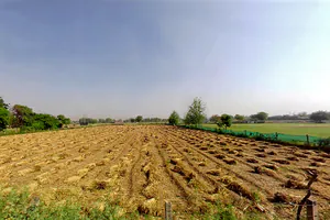 Kadarpur, Haryana, India preview 3