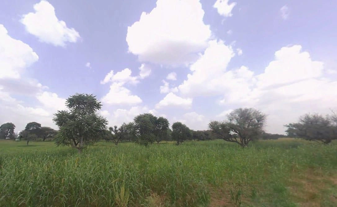 Khachariawas, Rajasthan 332710, India